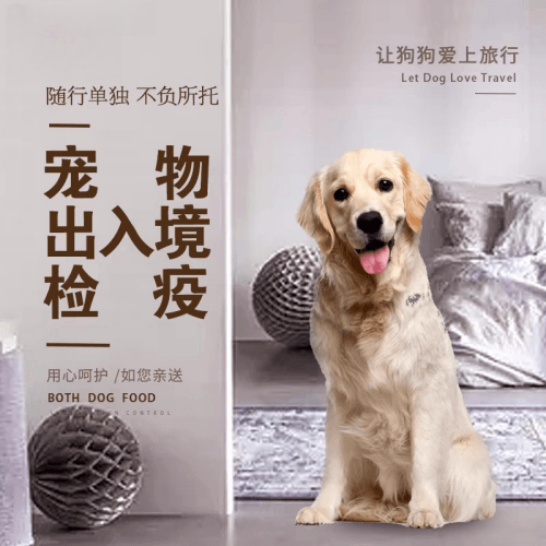 新界宠物托运到哥伦比亚猫狗宠物入境规定和