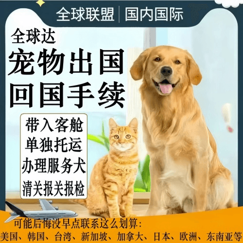新界宠物托运到柬埔寨宠物入境规定和要求
