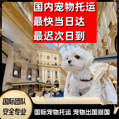 新界到澳大利亚（澳洲）宠物入境规定和要求
