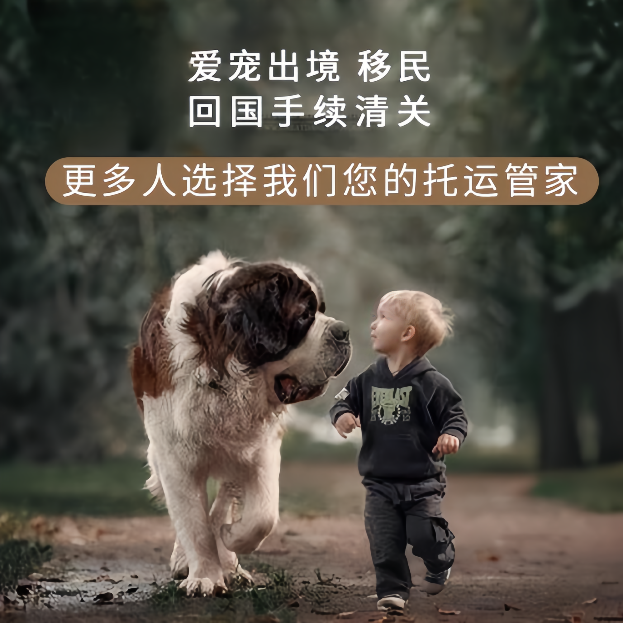 满财新界宠物全球达宠物托运在遵守入境目的地政策的条件