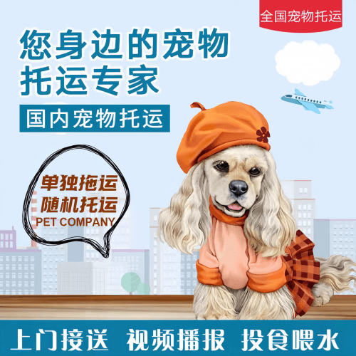 满财新界宠物全球达宠物托运作为专业的宠物运输代理机构